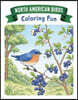 North American Birds: Coloring Fun