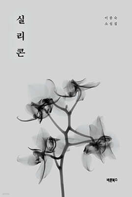 실리콘