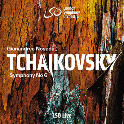 Gianandrea Noseda 차이코프스키: 교향곡 6번 `비창` / 무소르그스키: `호반시나` 전주곡 (Tchaikovsky: Symphony in b minor 'Pathetique' Op.74)