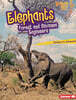Elephants: Forest and Savanna Engineers