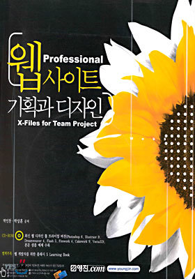 Professional 웹 사이트 기획과 디자인