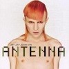 Jay-Jay Johanson / Antenna (수입)