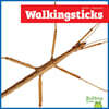 Walkingsticks