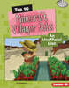 Top 10 Minecraft Villager Jobs: An Unofficial List