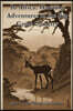 In Africa