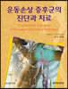 운동손상 증후군의 진단과 치료