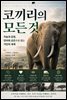 코끼리의 모든 것