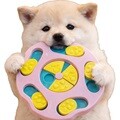 뚱땅뚱땅 발자국퍼즐 강아지 고양이 노즈워크 분리불안 해소 장난감