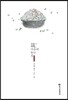잠(箴), 마음에 놓는 침