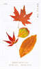 소설 보다 : 가을 2026