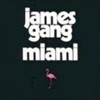James Gang / Miami (수입/361022)