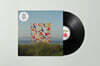 Matthew Halsall (매튜 할샐) - An Ever Changing View [2LP]