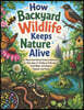 How Backyard Wildlife Keeps Nature Alive: An Illustrated Animal Science Adventure for Kids Ages 6-10 About Pollinators, Food Webs, Soil Helpers, Habit