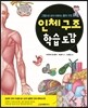 인체 구조 학습 도감