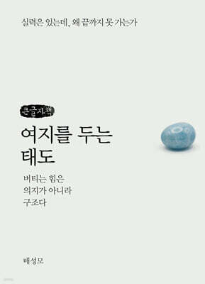 여지를 두는 태도 (큰글자책)