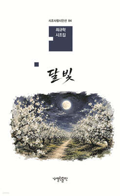 달빛