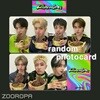 [새상품/Z 포토카드/랜덤] 트렌드지 TRENDZ Chameleon (정품/마이스타굿즈)