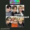 [새상품/BB 포토카드/랜덤] 트렌드지 TRENDZ Chameleon (정품/라이징스타)