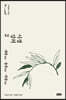 시경 강의 2