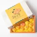 선물세트 황금향 중소과 16과내외 3kg