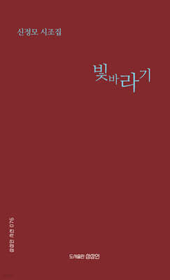 빛바라기