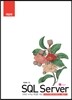 SQL Server 개발편