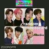 [새상품/KK 포토카드/랜덤] 트렌드지 TRENDZ Chameleon (정품/점프업)