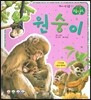 원숭이 (땅에사는동물)