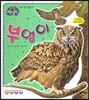 부엉이 (날개있는동물)