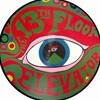 [픽쳐디스크 LP] The 13th Floor Elevators - The Psychedelic Sounds Of The 13th Floor Elevators (EU 수입)