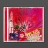 태양 3집 - WHITE NIGHT [Red Ver.]