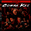 Cobra Kai: Season 5 (코브라 카이: 시즌 5)(지역코드1)(한글무자막)(DVD)