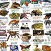 진짜 진짜 재밌는 그림책 25종 시리즈 (전25권)