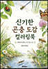 신기한 곤충 도감 컬러링북