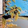 [미개봉] Gabor Winand / Different Garden (Digipack/수입/BMCCD110)