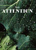 2025 ATTENTION