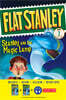 Stanley and the Magic Lamp 스탠리와 요술 램프