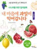 내 마음에 과일이 익어갑니다 : 과일편