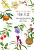 식물 도감 : 세밀화로 그린 보리 어린이 도감