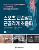 스포츠 근손상과 근골격계 초음파
