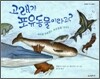 고래가 포유 동물이라고?