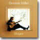 Dominic Miller - Shapes