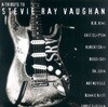 [일본반] Various Artists - A Tribute To Stevie Ray Vaughan