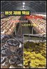 버섯 재배 핵심 포인트 매뉴얼