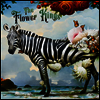 Flower Kings - Hope (Jewel Case Packaging)(CD)