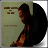 Muddy Waters - Muddy Waters Sings "Big Bill" (Chess 75 Series)(180g LP)