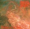 Morbid Angel - Blessed Are The Sick (수입)