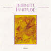 박창수 - Infinite Finitude