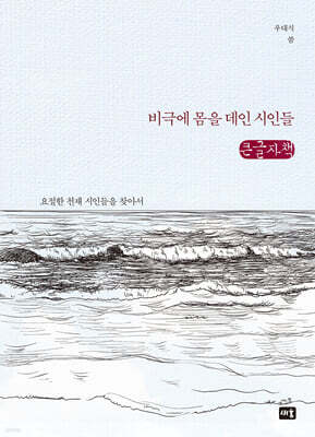 비극에 몸을 데인 시인들 (큰글자책)