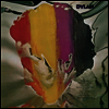 Bob Dylan - Dylan (Reissue)(LP)